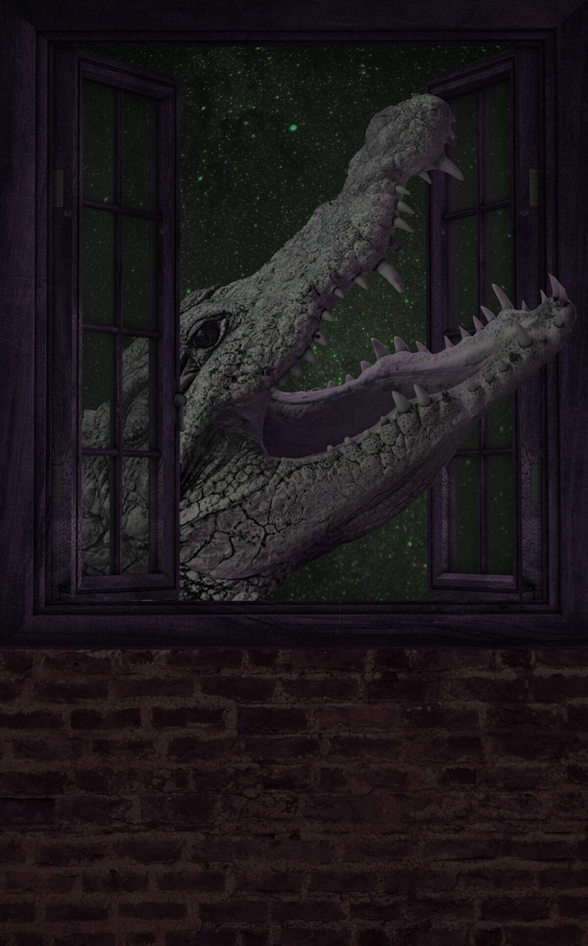 The crocodile at the window, stars behind it